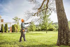  Lake Hamilton, FL Tree Removal Pros